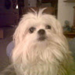 Meet your Posher, Carole